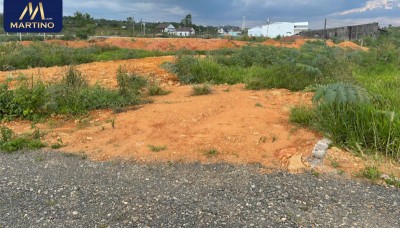 Bán lô đất nền diện tích 6x20m tại Lộc Châu - Bảo Lộc Bán lô đất nền diện tích 6x20m tại Lộc Châu - Bảo Lộc