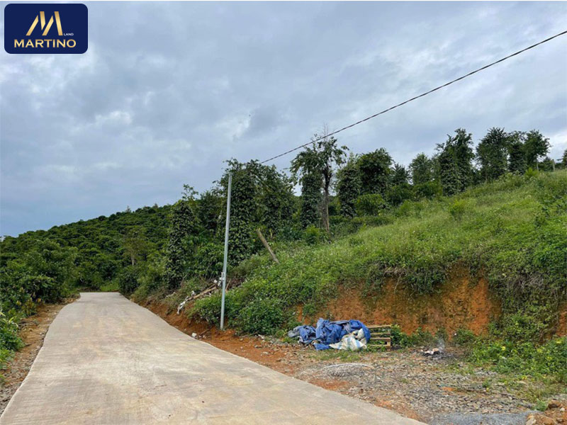 Bán đất sào xã Lộc Châu Bán đất sào xã Lộc Châu