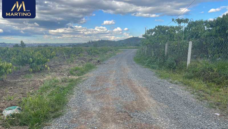 bán đất sào hẻm đinh công tráng bán đất sào hẻm đinh công tráng