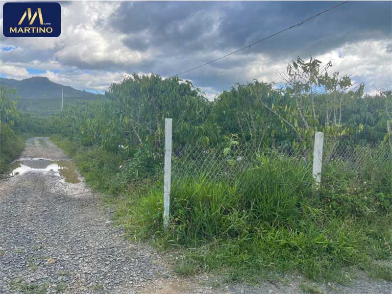 bán đất sào hẻm đinh công tráng bán đất sào hẻm đinh công tráng