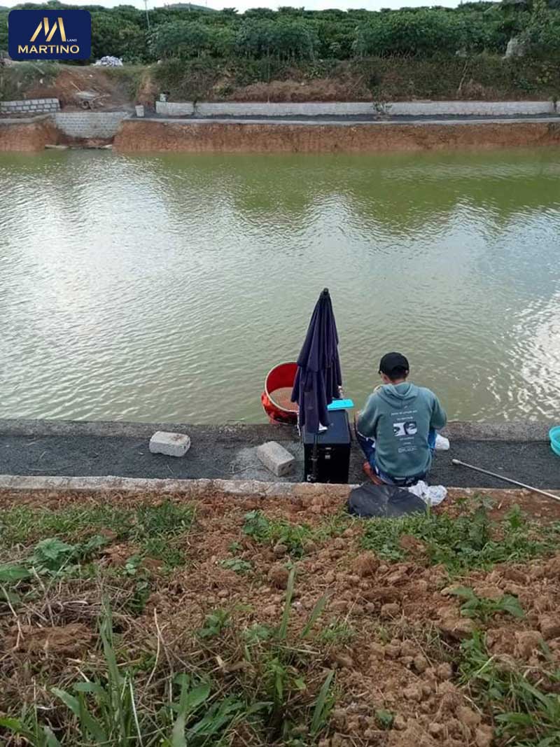 bán đất sào hẻm đinh công tráng bán đất sào hẻm đinh công tráng