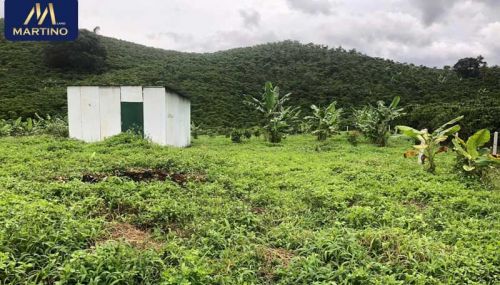 Bán đất 2,5 sào hẻm Đinh Công Tráng xã Lộc Châu Bán đất 2,5 sào hẻm Đinh Công Tráng xã Lộc Châu