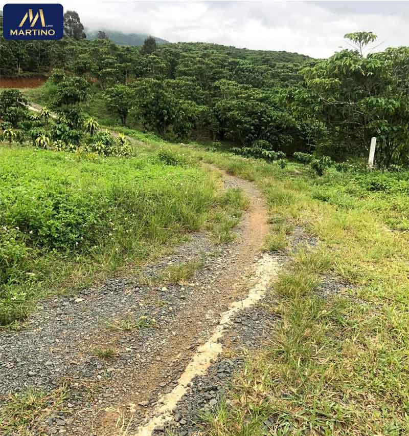 bán đất sảo hẻm đinh công tráng xã lộc châu bán đất sảo hẻm đinh công tráng xã lộc châu