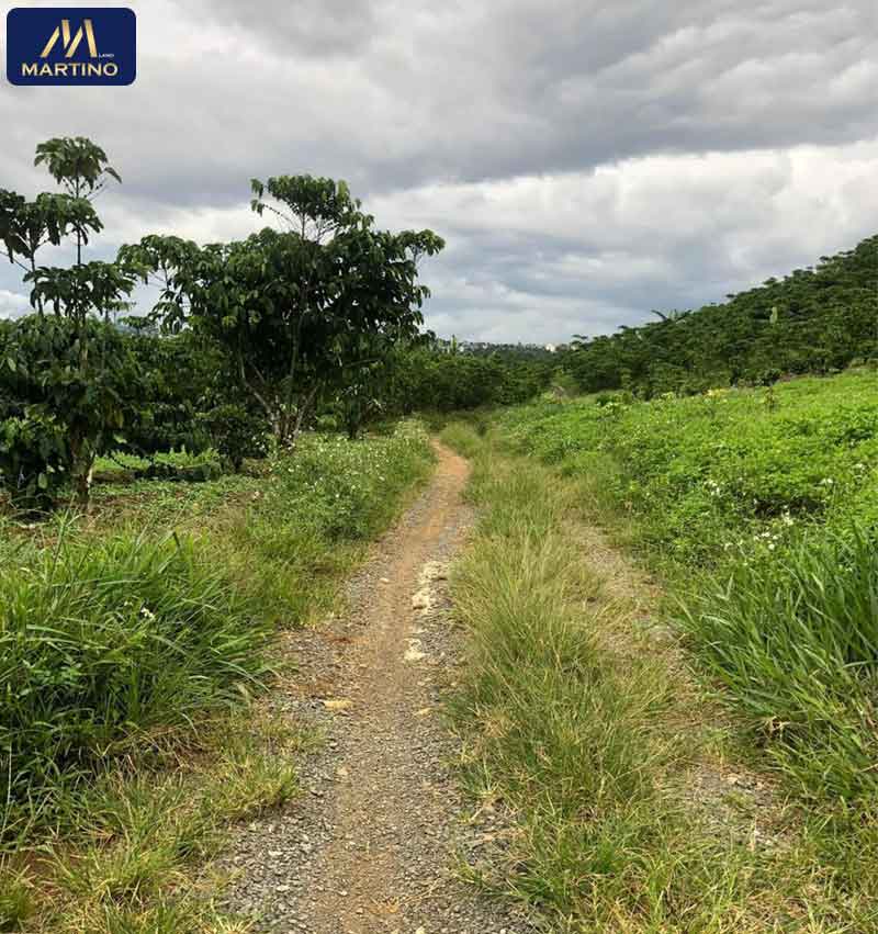 bán đất sảo hẻm đinh công tráng xã lộc châu bán đất sảo hẻm đinh công tráng xã lộc châu