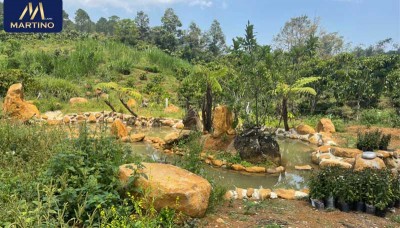 Bán đất sào nghỉ dưỡng tại Lộc Châu - Bảo Lộc giá rẻ Bán đất sào nghỉ dưỡng tại Lộc Châu - Bảo Lộc giá rẻ