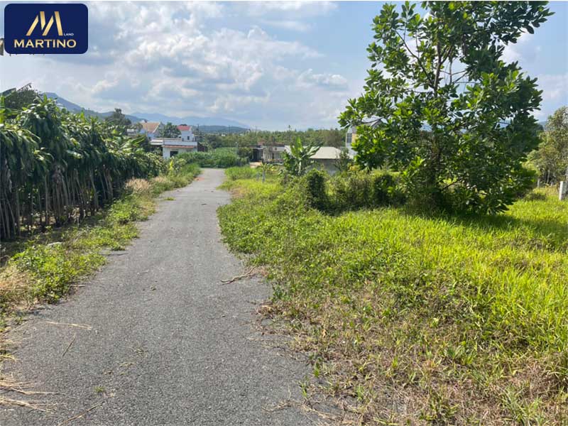 Bán đất sào tại Lộc Châu Bán đất sào tại Lộc Châu