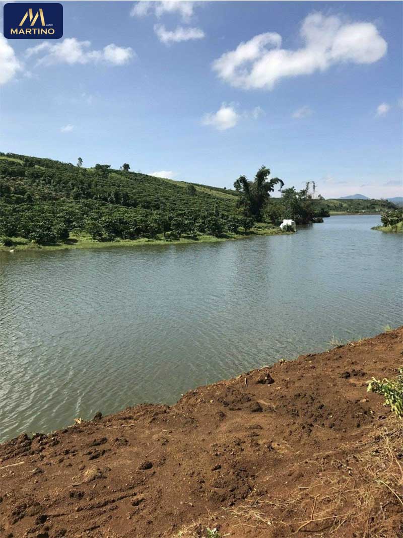 Bán đất sào tại Lộc Tân Bán đất sào tại Lộc Tân