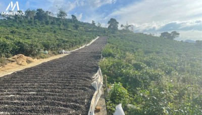 Bán lô đất sào 6500m2, 14m mặt tiền quốc lộ 20 Bán lô đất sào 6500m2, 14m mặt tiền quốc lộ 20