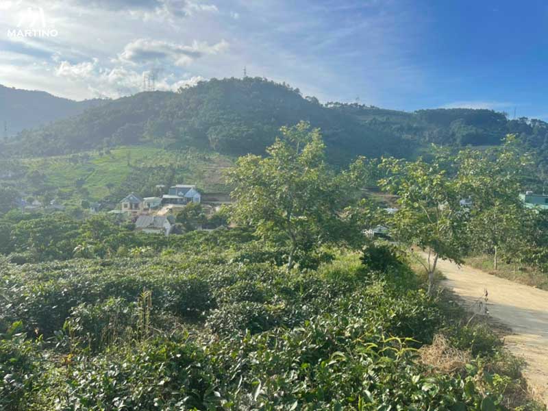 Bán đất sào xã Đại Lào Bán đất sào xã Đại Lào