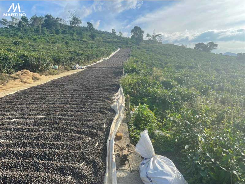 Bán đất sào xã Đại Lào Bán đất sào xã Đại Lào