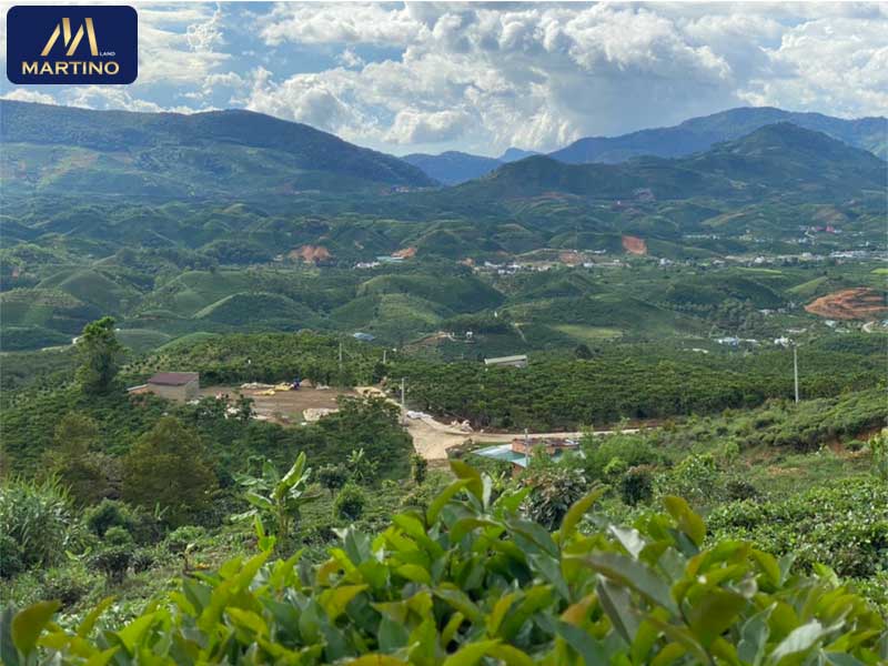 Bán đất sào xã Đại Lào giá rẻ Bán đất sào xã Đại Lào giá rẻ