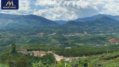 Bán đất sào xã Đại Lào diện tích 4600m2, ô tô vào tận nơi Bán đất sào xã Đại Lào diện tích 4600m2, ô tô vào tận nơi