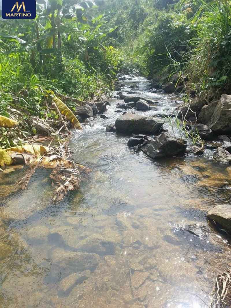 Bán đất sào xã Lộc Châu Bán đất sào xã Lộc Châu