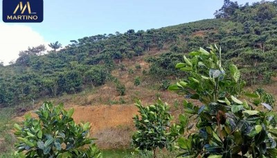 Bán lô đất sào đường Phan Huy Ích - Lộc Châu Bán lô đất sào đường Phan Huy Ích - Lộc Châu