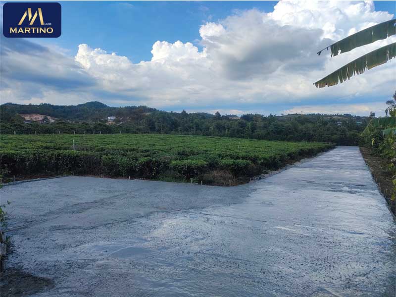 Bán đất sào xã Lộc Châu Bán đất sào xã Lộc Châu