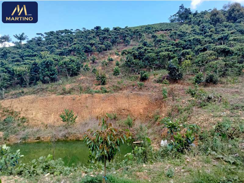 Bán đất sào xã Lộc Châu