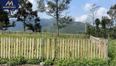 Cần bán lô đất hẻm 56 Hòai Thanh, Lam Sơn phường Lộc Sơn. Cần bán lô đất hẻm 56 Hòai Thanh, Lam Sơn phường Lộc Sơn.