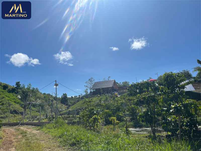 bán đất sào triền nhẹ gần hồ Mai Thành bán đất sào triền nhẹ gần hồ Mai Thành