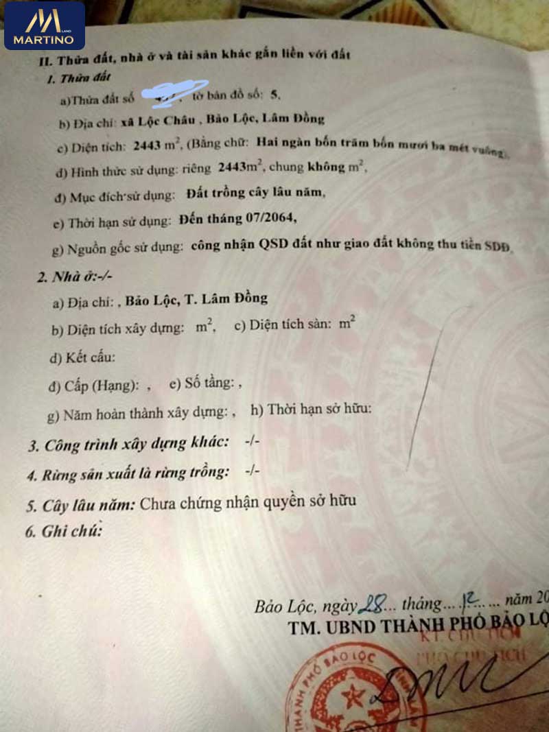 Bán đất vườn sào tại Lộc Châu Bảo Lộc Lâm Đồng Bán đất vườn sào tại Lộc Châu Bảo Lộc Lâm Đồng