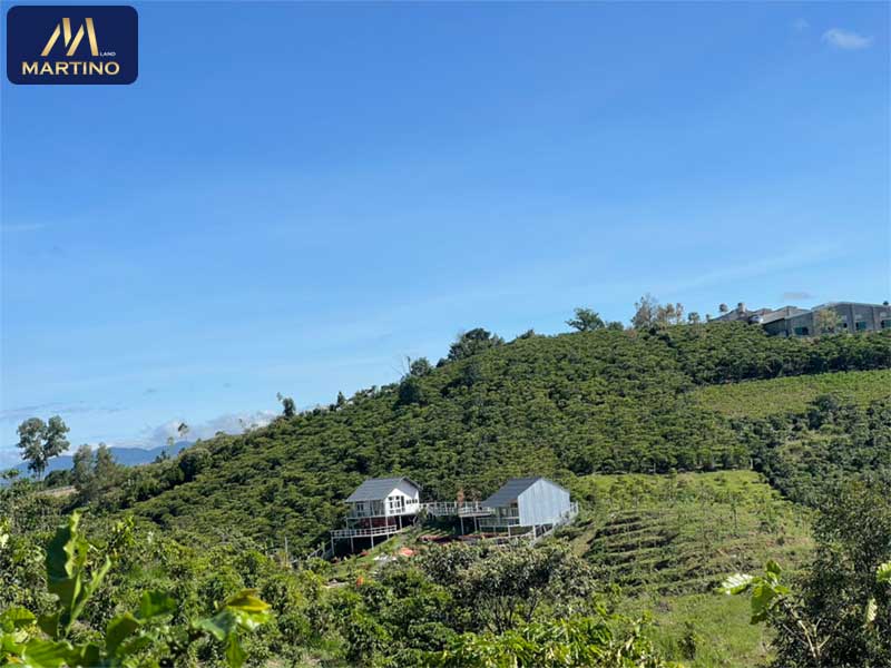 Bán đất vườn sào tại Lộc Châu Bảo Lộc Lâm Đồng Bán đất vườn sào tại Lộc Châu Bảo Lộc Lâm Đồng