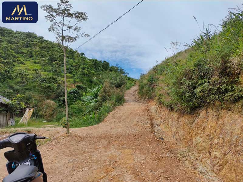 Bán đất xã Đại Lào