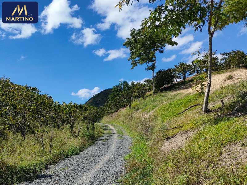 Bán đất xã Đại Lào