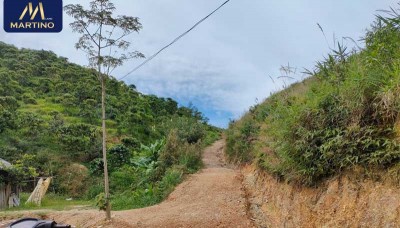 Chính chủ cần bán đất thôn 10 xã Đại Lào Chính chủ cần bán đất thôn 10 xã Đại Lào