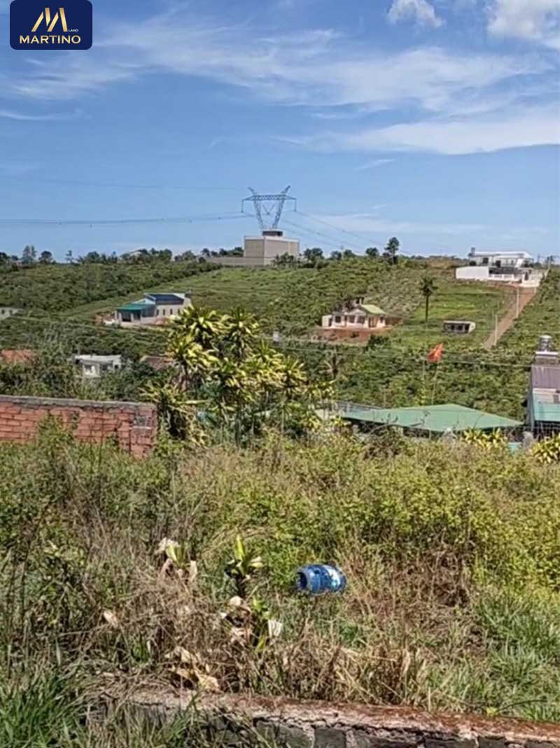 Bán đất xã Dambri Bán đất xã Dambri