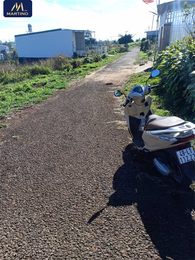 Bán đất xã Dambri Bán đất xã Dambri