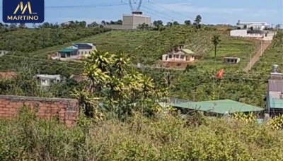 Bán đất chính chủ tại Dambri, Trần Nhật Duật - Bảo Lộc