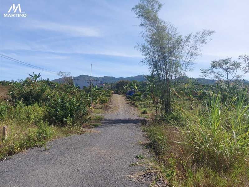 Bán đất hẻm Đinh Công Tráng, xã Lộc Châu