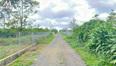 Bán lô đất hẻm 6m phường Lộc Châu diện tích 500m2