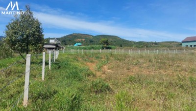 Bán lô đất hẻm Đinh Công Tráng, xã Lộc Châu ,Bảo Lộc Bán lô đất hẻm Đinh Công Tráng, xã Lộc Châu ,Bảo Lộc