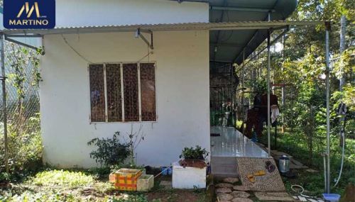 Bán nhà cấp 4 hẻm Phan Đình Phùng, phường 2, Bảo Lộc Bán nhà cấp 4 hẻm Phan Đình Phùng, phường 2, Bảo Lộc