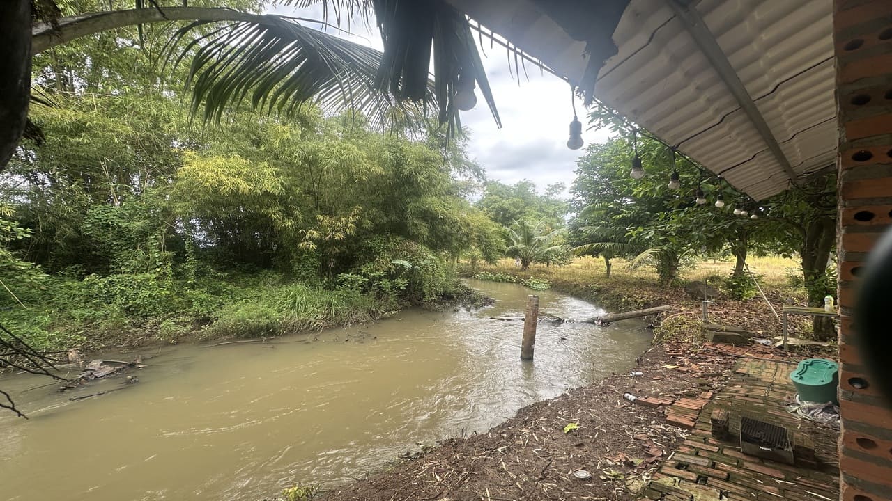 đất vườn tại đất đỏ bà rịa vũng tàu