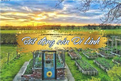 Dự án tại Di Linh Dự án tại Di Linh