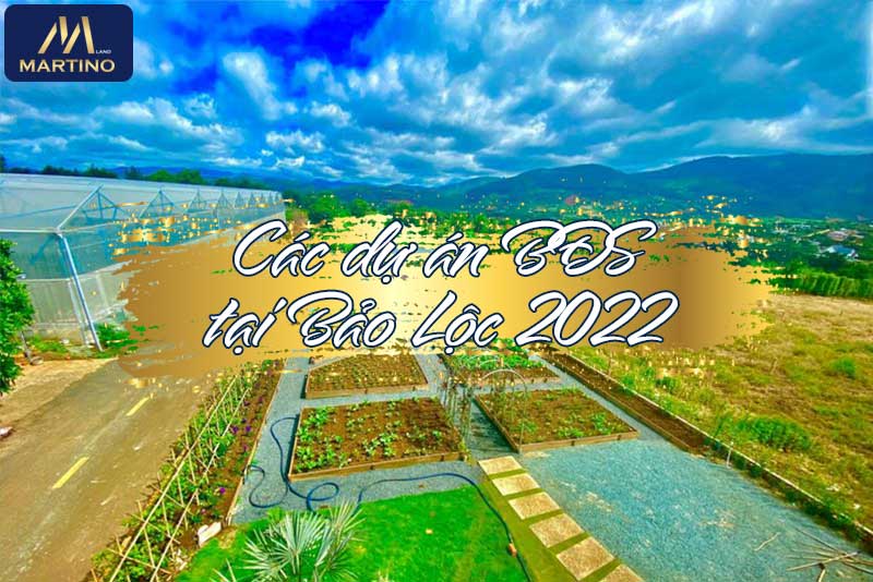 Dự án BĐS tại Bảo Lộc 2022