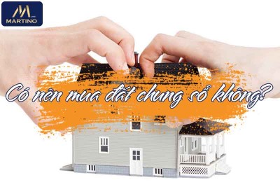 Đất chung sổ là gì? Có nên mua đất chung sổ đỏ hay không? Đất chung sổ là gì? Có nên mua đất chung sổ đỏ hay không?