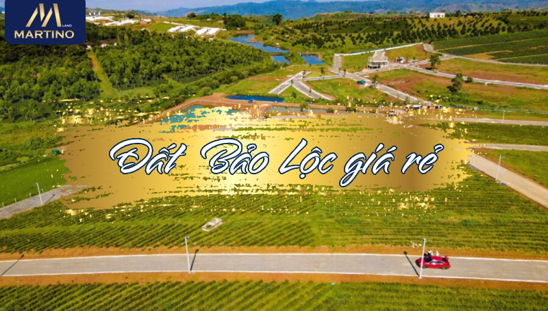 đất bảo lộc giá rẻ