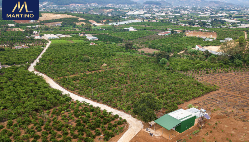 đất bảo lộc giá rẻ