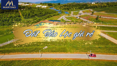 Những Khu Vực Đất Bảo Lộc Giá Rẻ Mà Bạn Không Thể Bỏ Qua