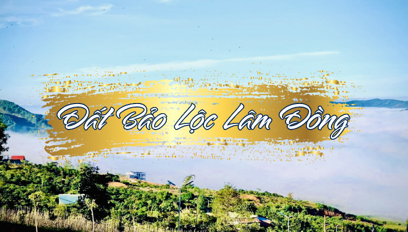 đất bảo lộc lâm đồng