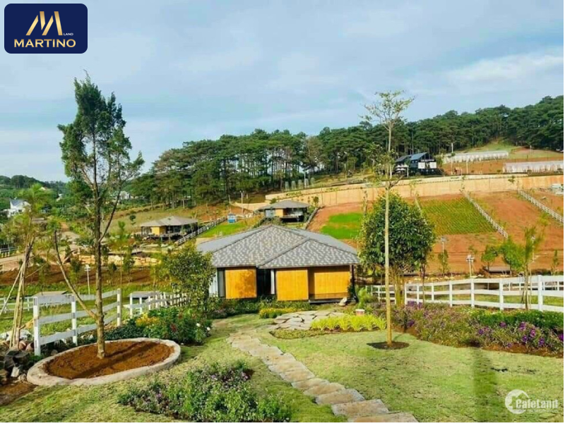 đất nền bảo lộc