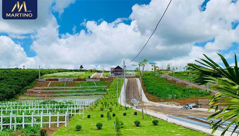 Đất nền Farm Hill Bảo Lộc