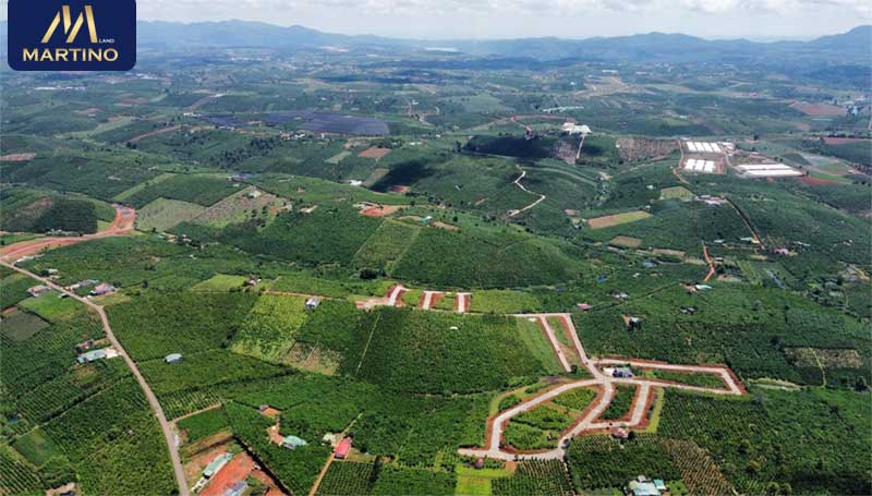 Đất nền Lộc An Bảo Lâm 