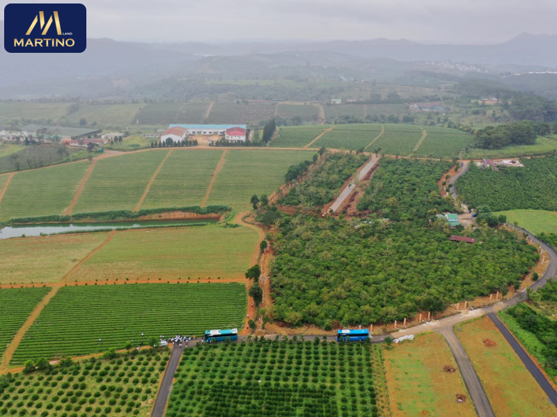 đất nền nghỉ dưỡng bảo lộc