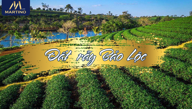 đất rẫy bảo lộc