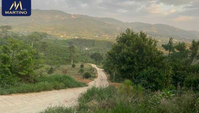 Bán đất sào Lộc Châu - Bảo Lộc diện tích thực tế 4 sào Bán đất sào Lộc Châu - Bảo Lộc diện tích thực tế 4 sào