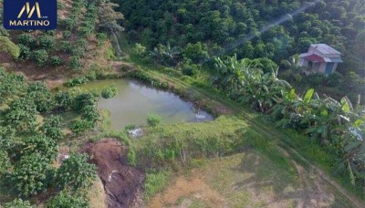 Bán đất sào tại Lộc Thanh - Bảo Lâm - Bảo Lộc giá siêu rẻ Bán đất sào tại Lộc Thanh - Bảo Lâm - Bảo Lộc giá siêu rẻ