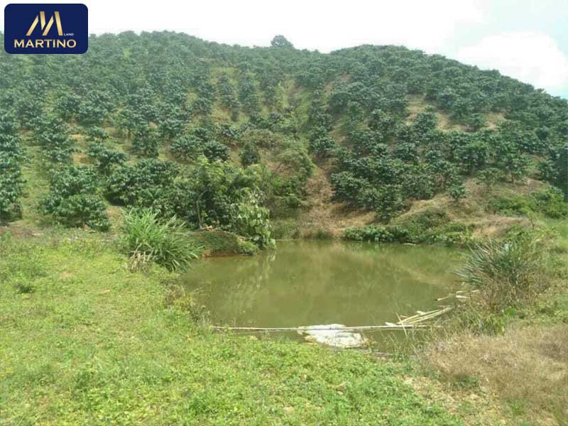 Bán đất vườn sào tại Lộc Thanh Bảo Lâm Bán đất vườn sào tại Lộc Thanh Bảo Lâm